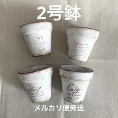 リメ鉢セット　まっしろ2号