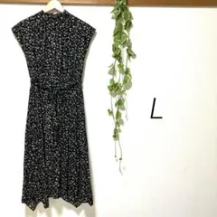 Item thumbnail for item ab8ea2de-befa-49d7-a672-238b7f558158