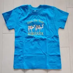 Tシャツ　シルクロード