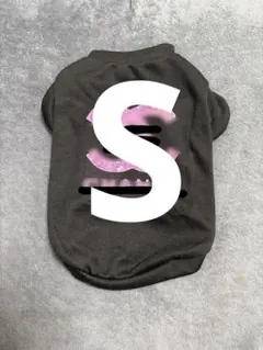 Item thumbnail for item 47ec3f17-b04c-4a8c-9f19-e744a10cdb4e