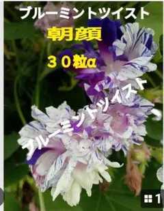 さな様 リクエスト 3点 まとめ商品