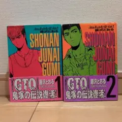 ‼️最終値下げ‼️藤沢とおる　湘南純愛組！ 1巻 2巻セット