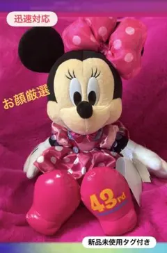 レア❣️ミニーぬいぐるみ　DISNEYランド　新品未使用 ディズニー43周年 トゥーンタウン ミニー ミッキー ぬいぐるみ ランド