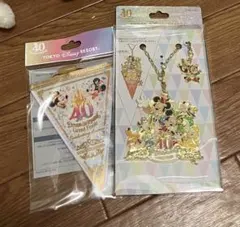 40周年 ドリームガーランド バッグチャーム  東京ディズニーリゾート