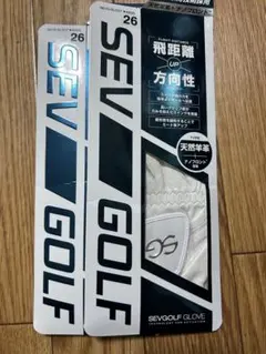 Item thumbnail for item e958d576-a1bb-436d-a0cd-601a3baab3e1