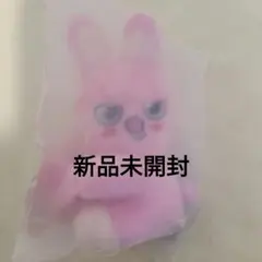 StrayKids SKZOO STRAP PLUSH トゥエッキ チャンビン