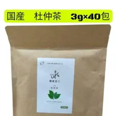 Item thumbnail for item 0c3d655d-f5fd-4d58-946d-6f3b3664c27e