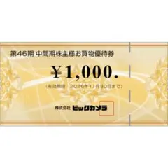 ビックカメラ 株主優待券 1000円分のサムネイル