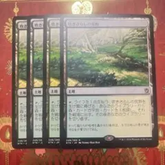 MTG 吹きさらしの荒野 Windswept Heath x4 英語 SP/MP - メルカリ