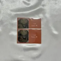 Item thumbnail for item aa27f546-0eaf-4f5a-8ce5-e9fecd972fe4