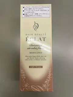 2025年最新】ヘアボーテエクラボタニカルエアカラーフォームEXの人気