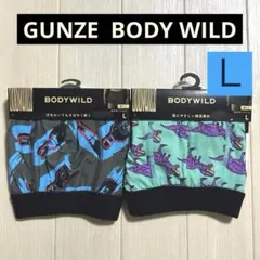 ★57/1【BODYWILD】ボクサーパンツ 2枚セット Lサイズのサムネイル