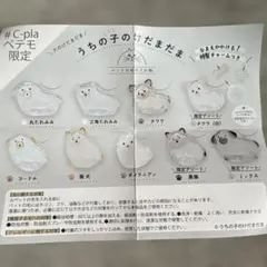 うちの子のけだまだま　ポメラニアン