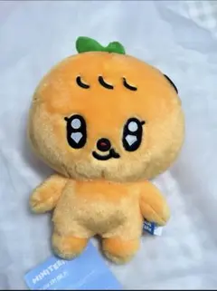 SEVENTEEN MINITEEN プギュリ ぬいぐるみ プラッシュトイ SEVENTEEN MINITEEN プギュリ ぬいぐるみ プラッシュトイ - メルカリ
