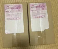 ポケモンカードゲーム スペシャルBOX ヒロシマx2