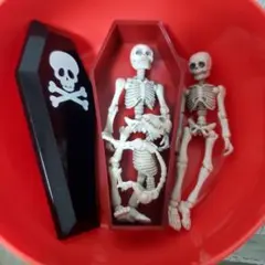 ポージングスケルトンフィギュア3体と犬と棺桶セット