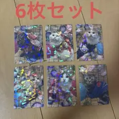 にゃんずトレカ2026 夏祭り羽生店6枚セットのサムネイル
