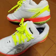 Item thumbnail for item 670ab7cc-3826-425f-8723-a6abf5e95851