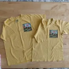Dole Plantation Tシャツ 2枚セット ハワイのサムネイル