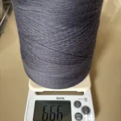 Item thumbnail for item 11bb8a5e-dff5-4027-b660-bd5ad98fd17e