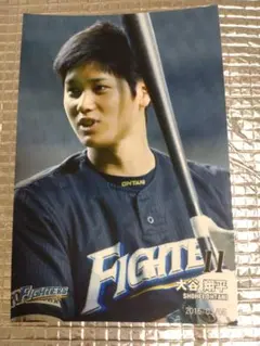 大谷翔平 2016 ハイライトフォト No.77 日本ハム 球団公式写真