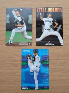 2011カルビープロ野球カード『ダルビッシュ有』金箔サイン/タイトル