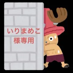 いりまめこ様専用です。