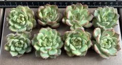 りく様 リクエスト 2点 まとめ商品