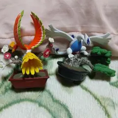 2026年最新】ポケット盆栽 ホウオウの人気アイテム - メルカリ