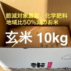 岩手県遠野 角閃石 砂状タイプ 約10kg 植物用 送料込み - メルカリ