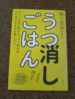 うつ消しごはん　 藤川徳美著
