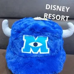ディズニーリゾート バケットハット モンスターズインク サリー ファンキャップ