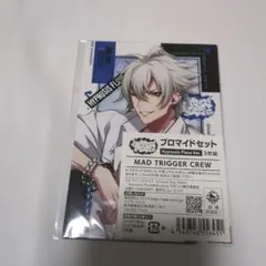ヒプマイ　ブロマイドセット　MAD　TRIGGER　CREW