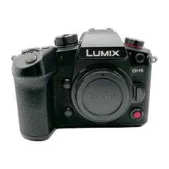2026年最新】gh6 lumixの人気アイテム - メルカリ