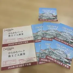 ひらパー　入場チケット2枚のサムネイル
