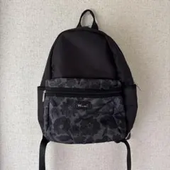 Item thumbnail for item 45b6facc-1caa-44e1-9ea8-0cf4a1805ac5