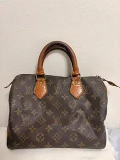 LOUIS VUITTON モノグラム スピーディ25 ハンドバッグのサムネイル