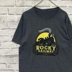 USA製90sヴィンテージTシャツ！シングルステッチグレー古着　L0625