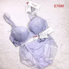 E70M トリンプ　ゴールドレーベル　ブラショーツセット