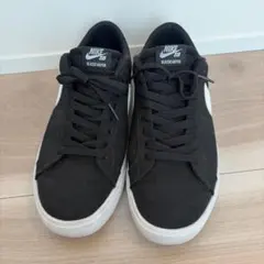 Item thumbnail for item 9e599f31-7b0b-4dc1-aa8e-348529d450a6