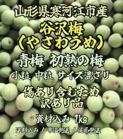 山形県寒河江市産 谷沢梅 希少種 青梅 訳あり 資材込み1kg 数量限定のサムネイル
