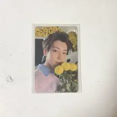 your choice ウォヌ トレカ