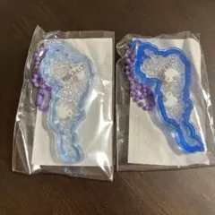 琵琶湖キーホルダー コハクチョウ