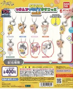 SKZOO つまんでつなげてますこっとvol.2