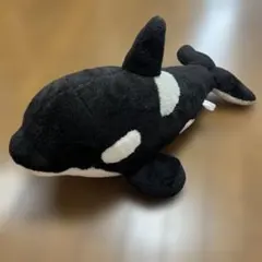 鴨川シーワールド　シャチ ぬいぐるみ