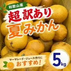 和歌山　夏みかん　超訳あり　5kg 　混合　みかん系柑橘3のサムネイル