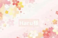 Haru様 リクエスト 2点 まとめ商品
