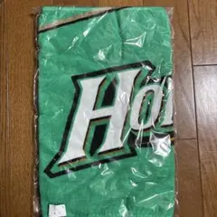 Item thumbnail for item 813c138b-0742-4a87-90d4-e4da3f9a73f1