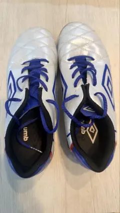 サッカー フットサルシューズ 22cm