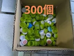 Item thumbnail for item 510521d6-3dc5-4288-adf4-243766c2cf75